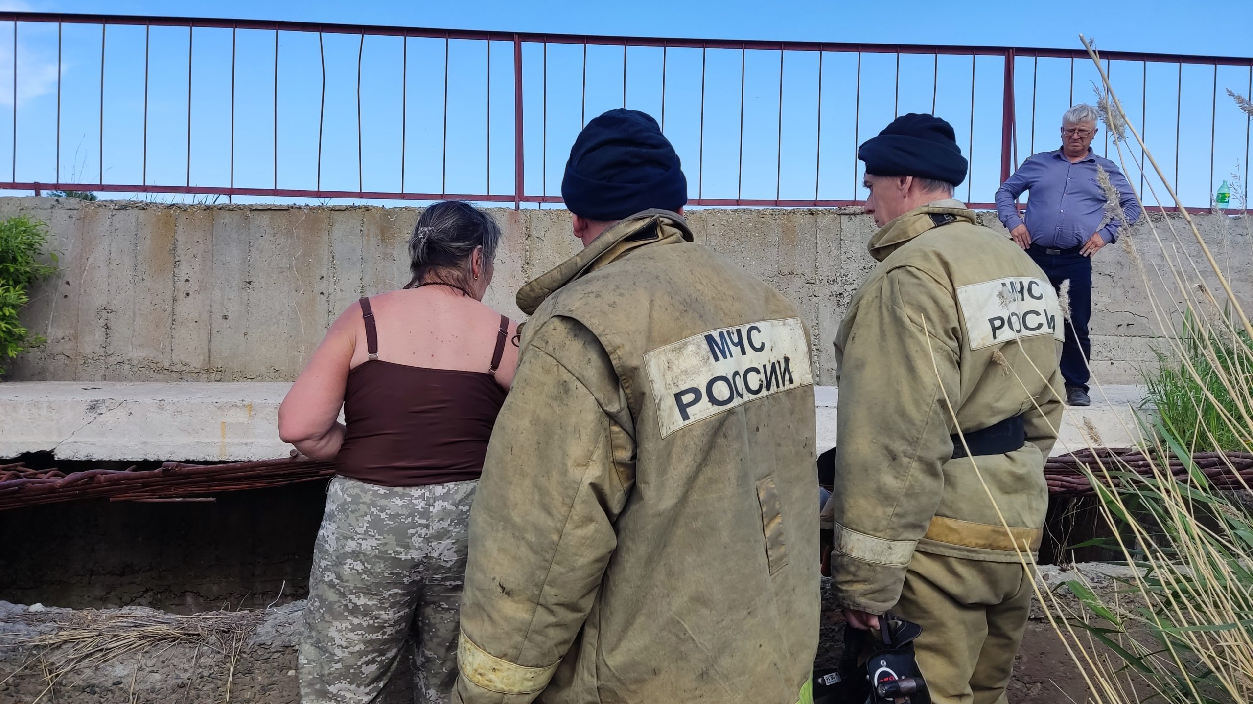 спасение утят в Камне-на-Оби