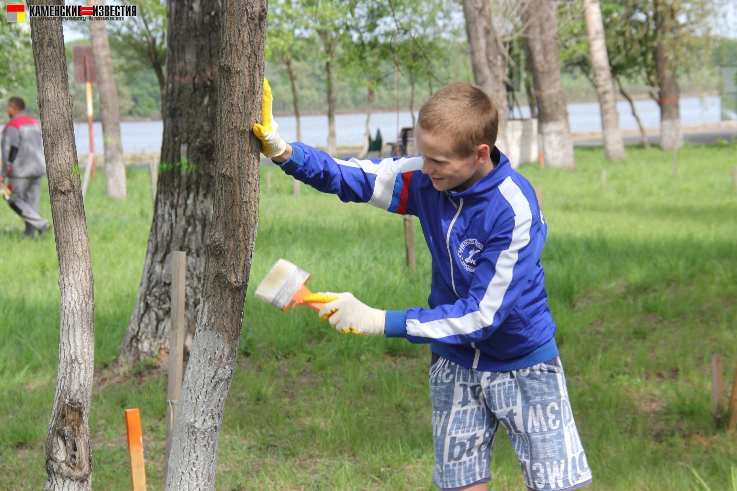 побелка деревьев на набережной