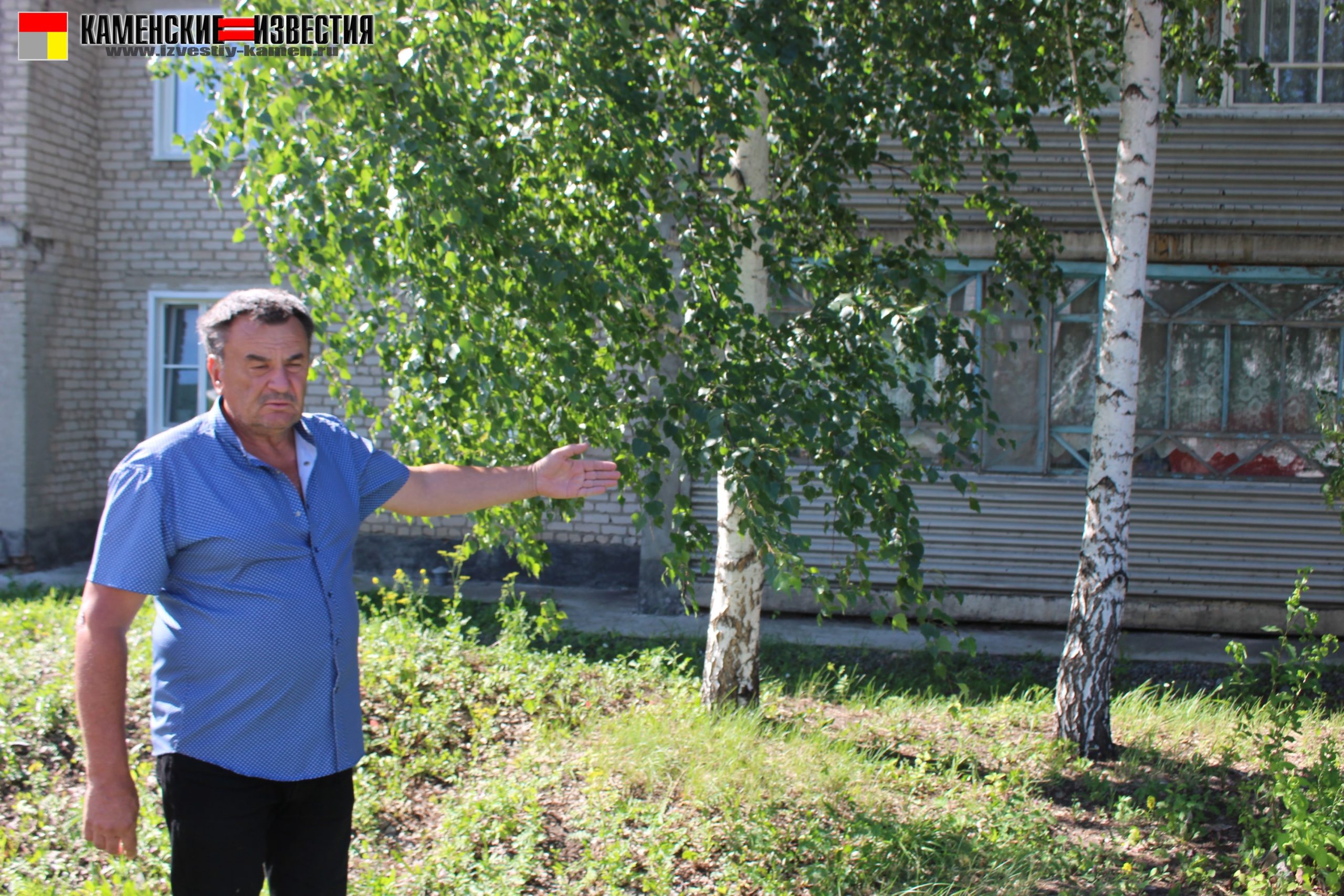 вырубка деревьев