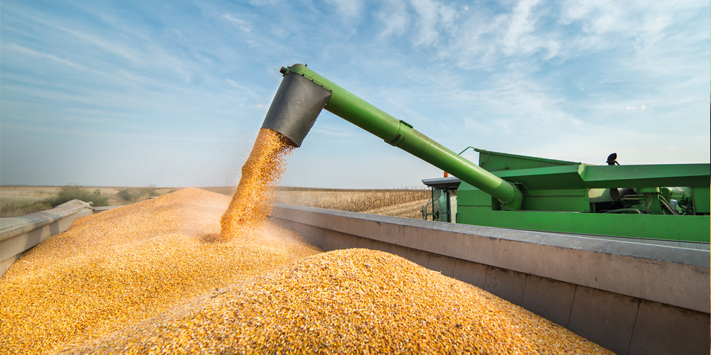 RSHB_BNR-press-release-1000x500-190604-2