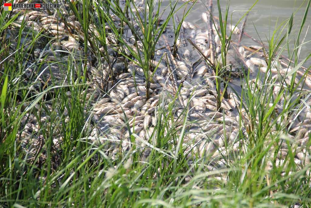 озеро Долгое