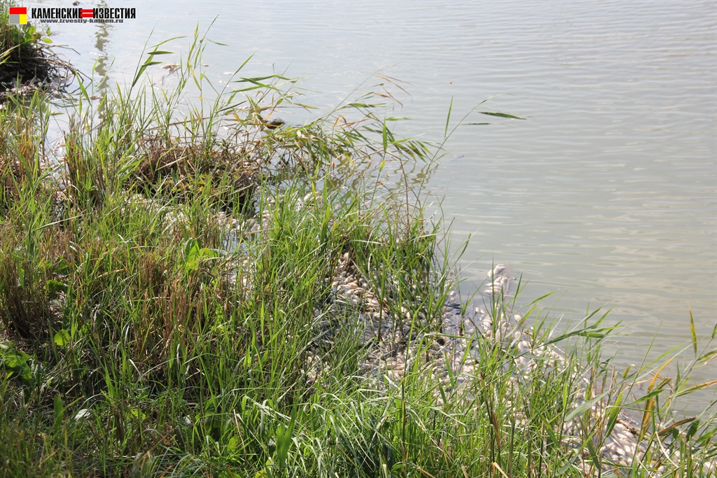 озеро Долгое