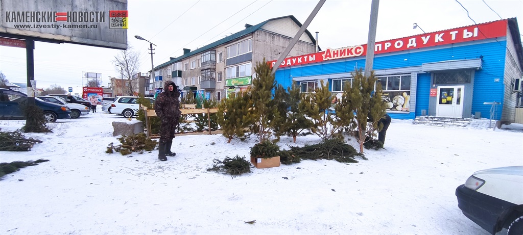 елочный базар