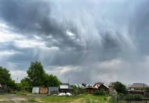 Дожди с грозами разбавят жару в Алтайском крае