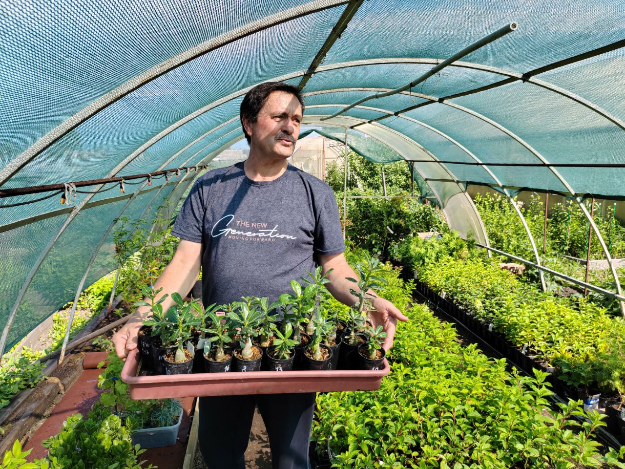 корнилово цветы