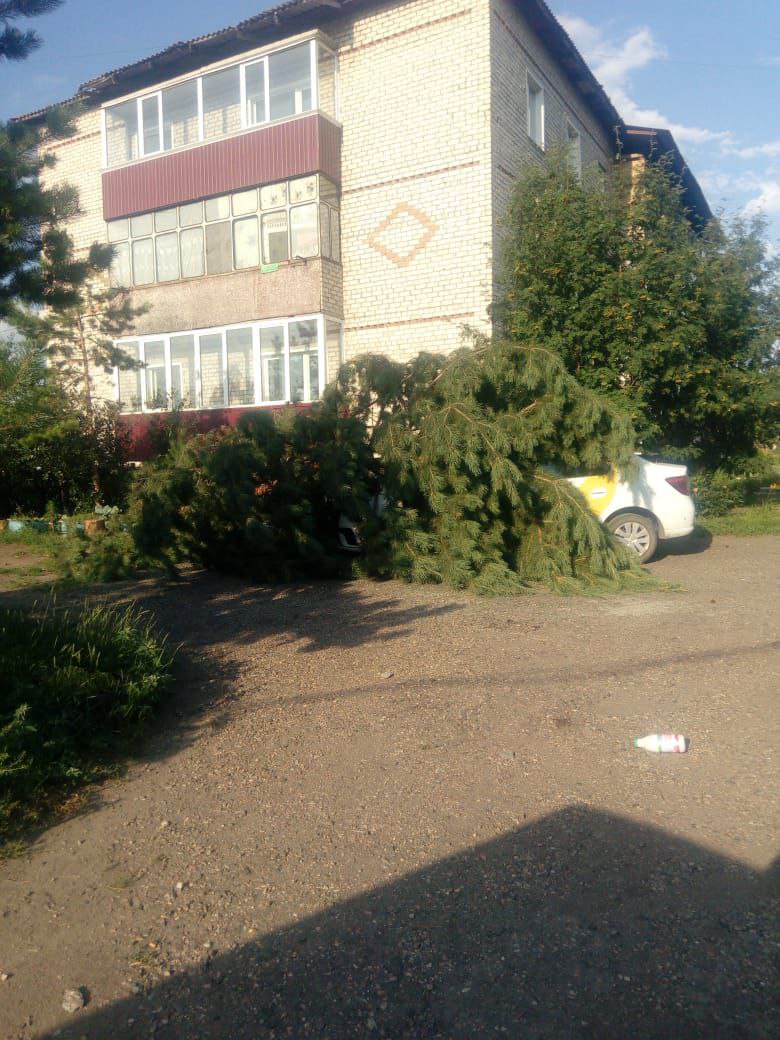 IMG_20230716_195709_749