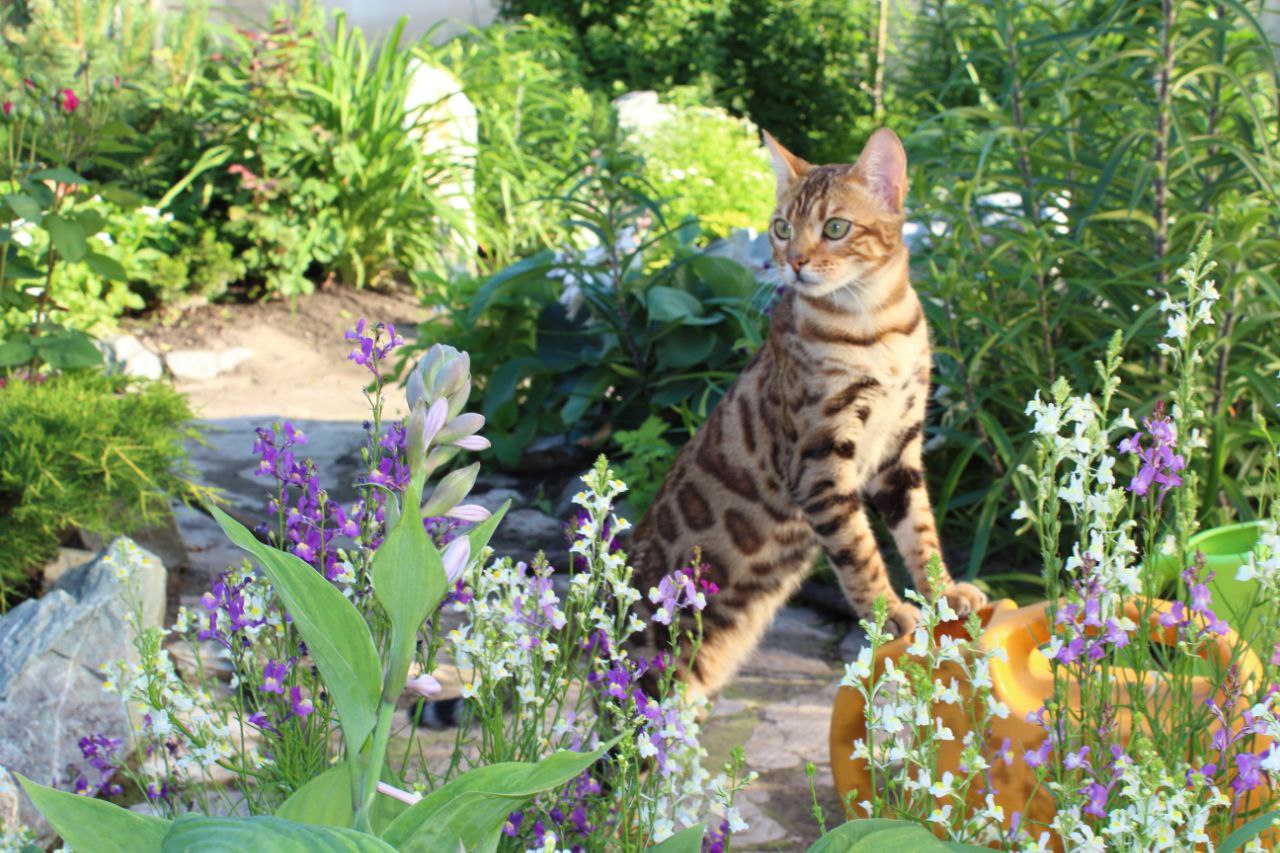 327fbaaa-5a9c-4238-a5a0-1361875fb49d