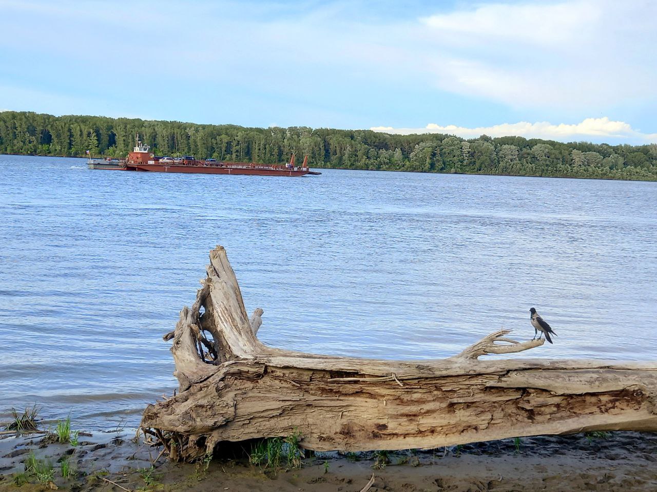 4a365a59-fe99-48a8-9b09-d8ae534f38f8