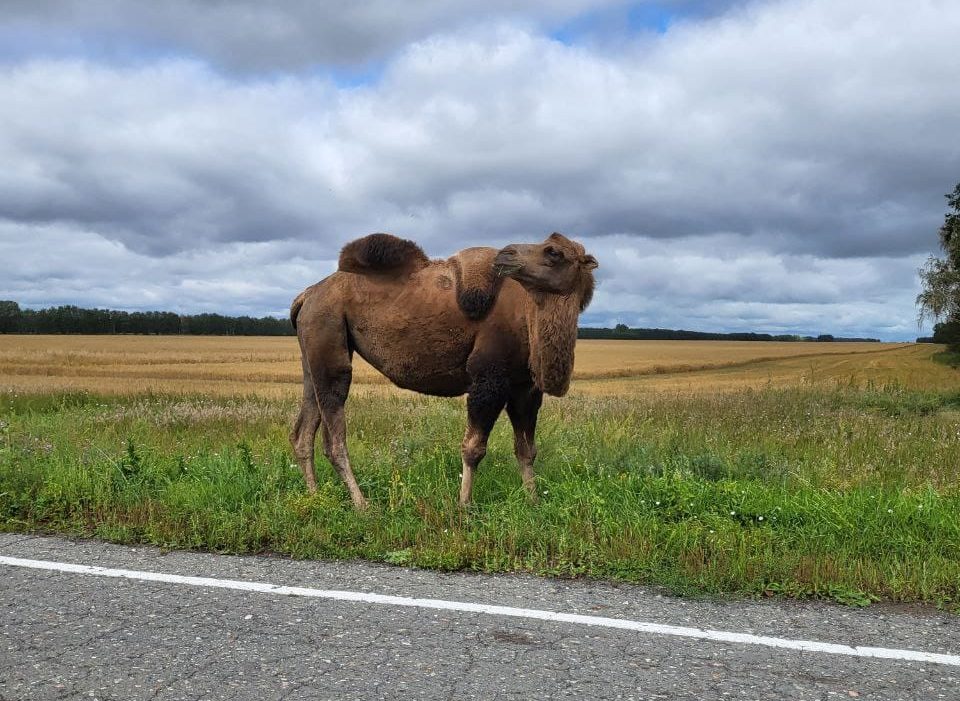 8c0952d6-dda0-46d4-8441-102c73229f3e (1)