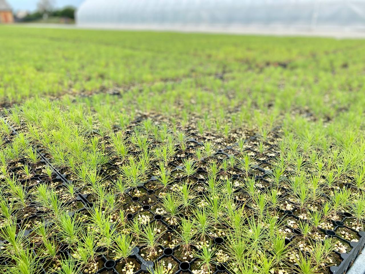 77fe19f1-c4d5-4c50-b613-b92bb31a2cdd