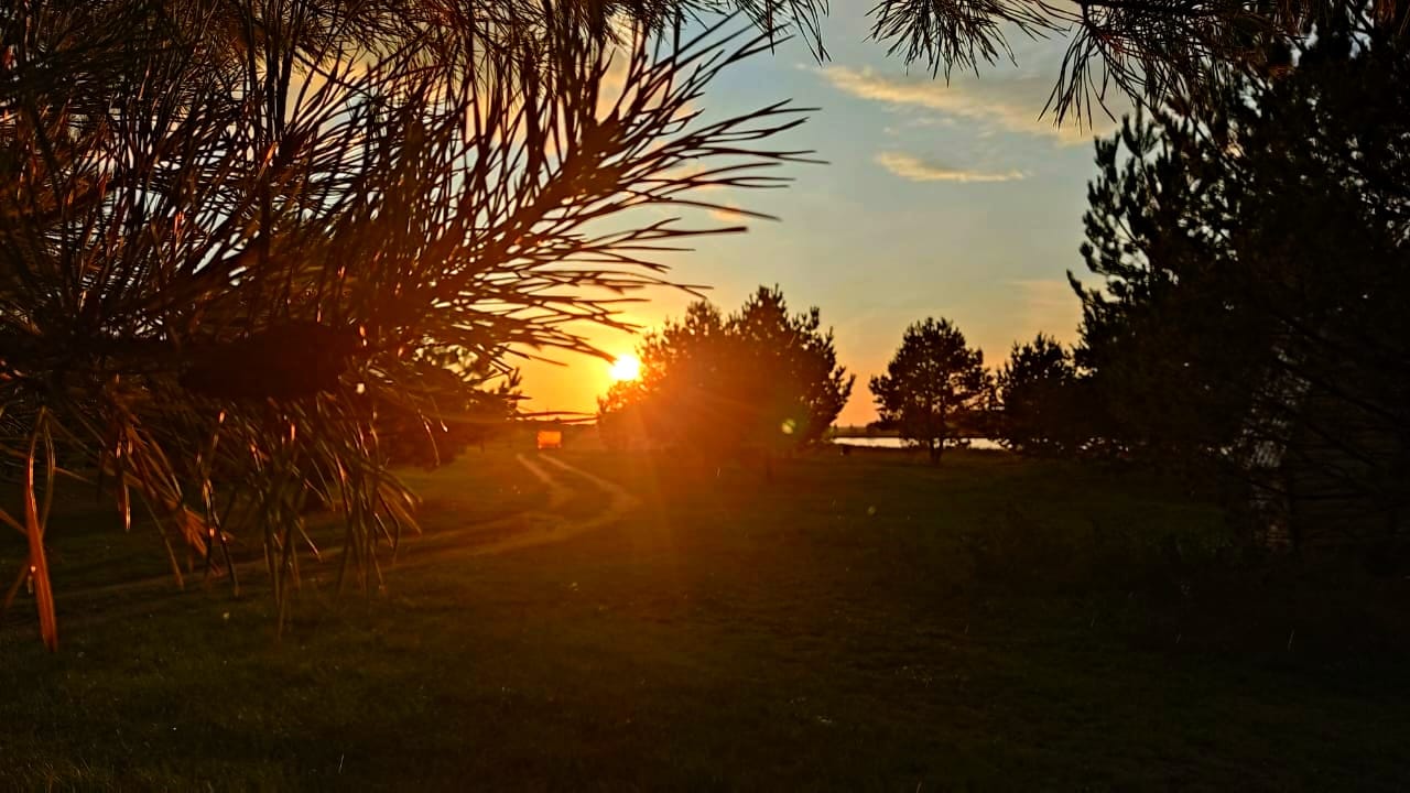 8f9fc085-8ad2-4a01-8391-2fd5888f0c3f