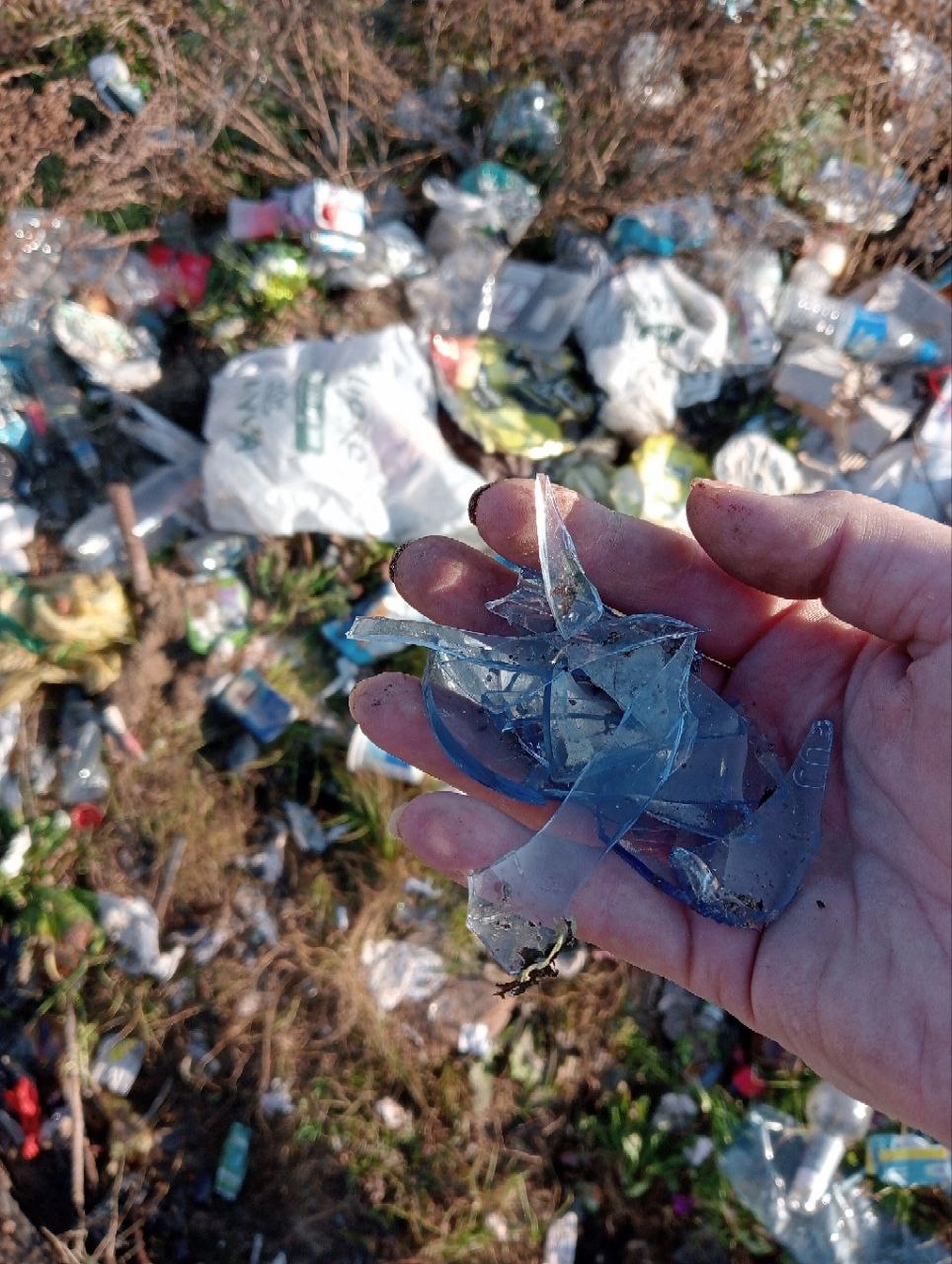 Александра Родимова