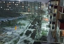 Синоптики прогнозируют первый снег в Алтайском крае в октябре
