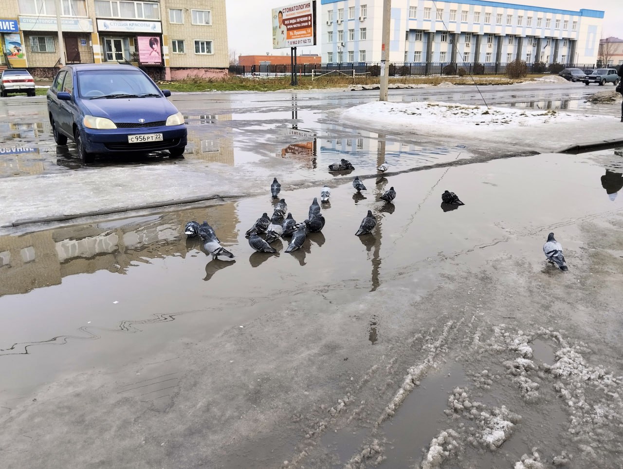 дождь в ноябре