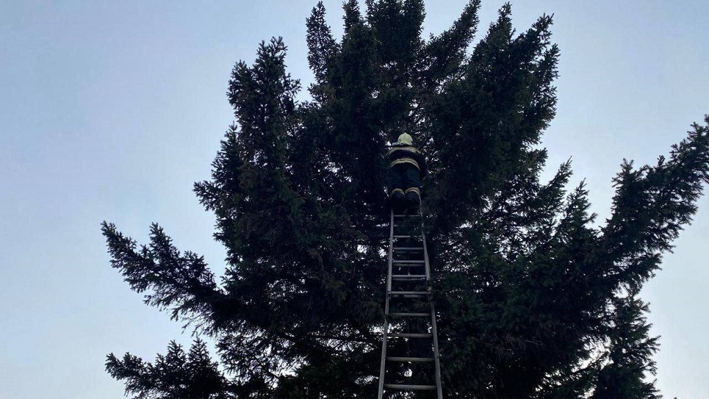 a06faf6b_f762_40e8_97e2_de3e5c2fc52a