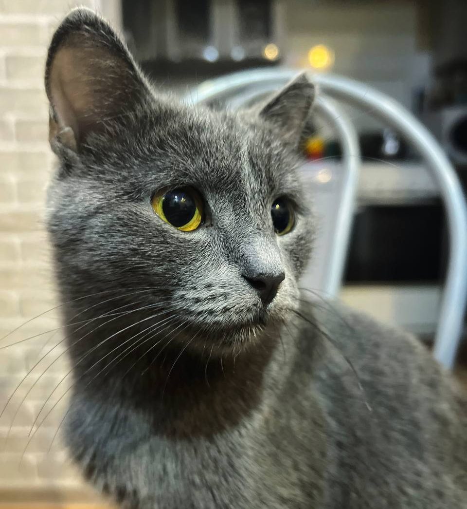 photo_5409145395734502841_y