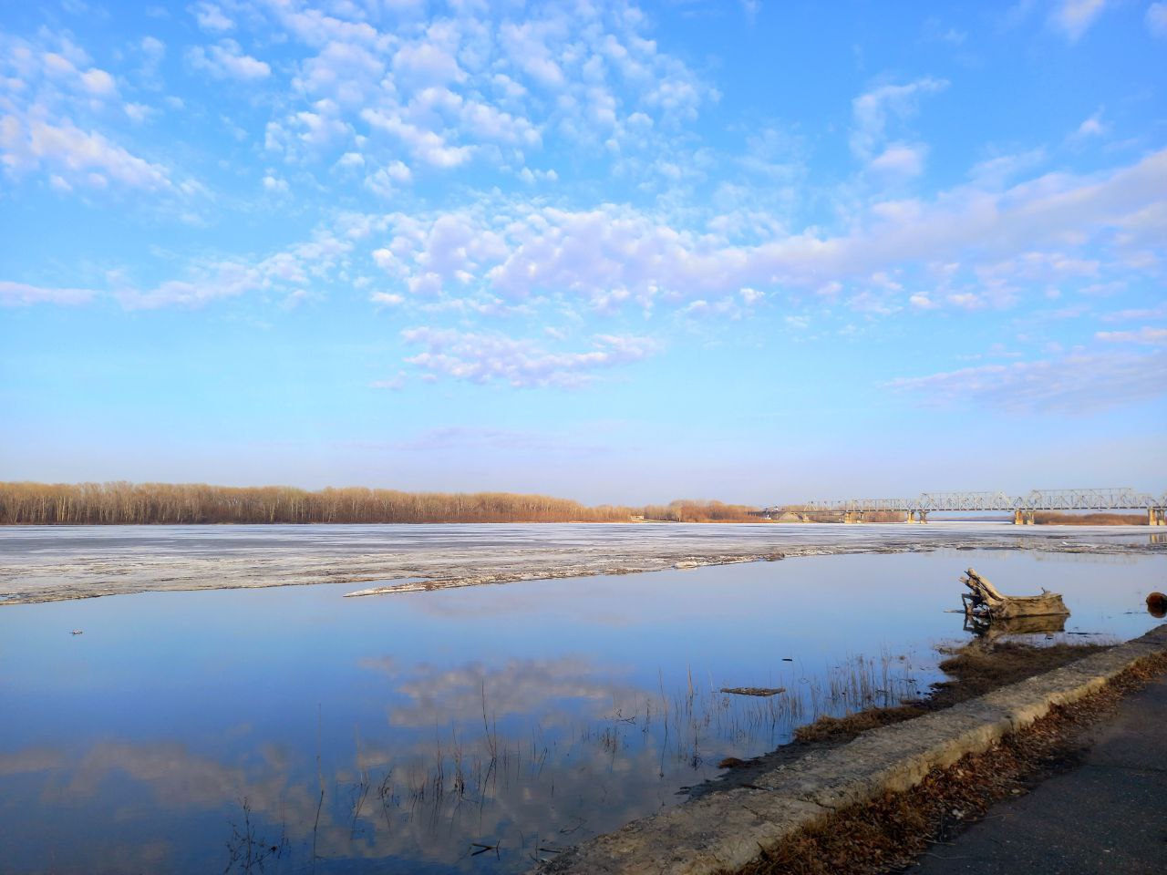 90836288-1e7f-4f85-b05c-1f310335e946