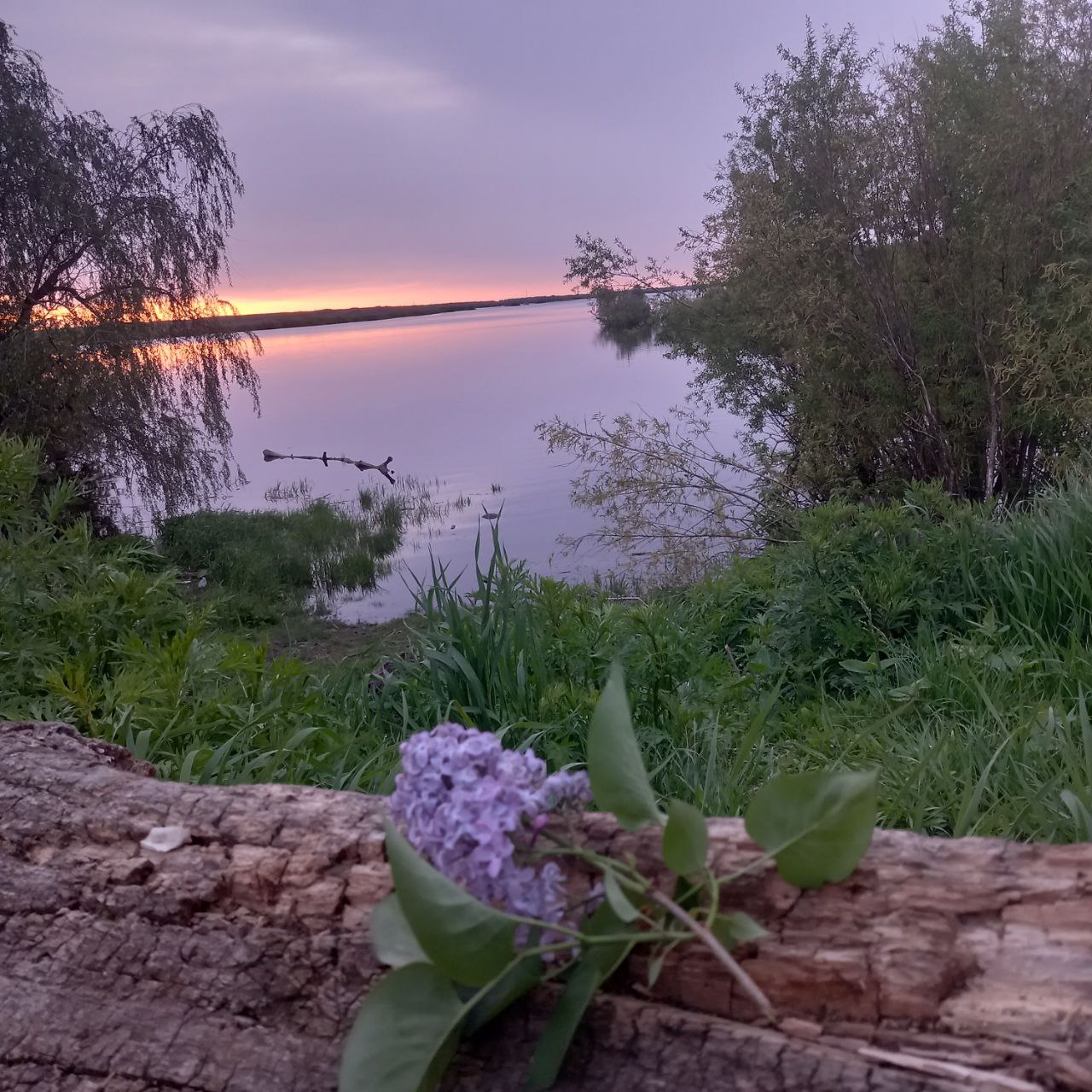 e4a94299-975f-43a8-8b2b-54807737260e