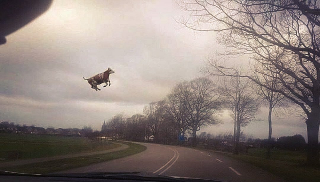 photo_5296653519283149045_y