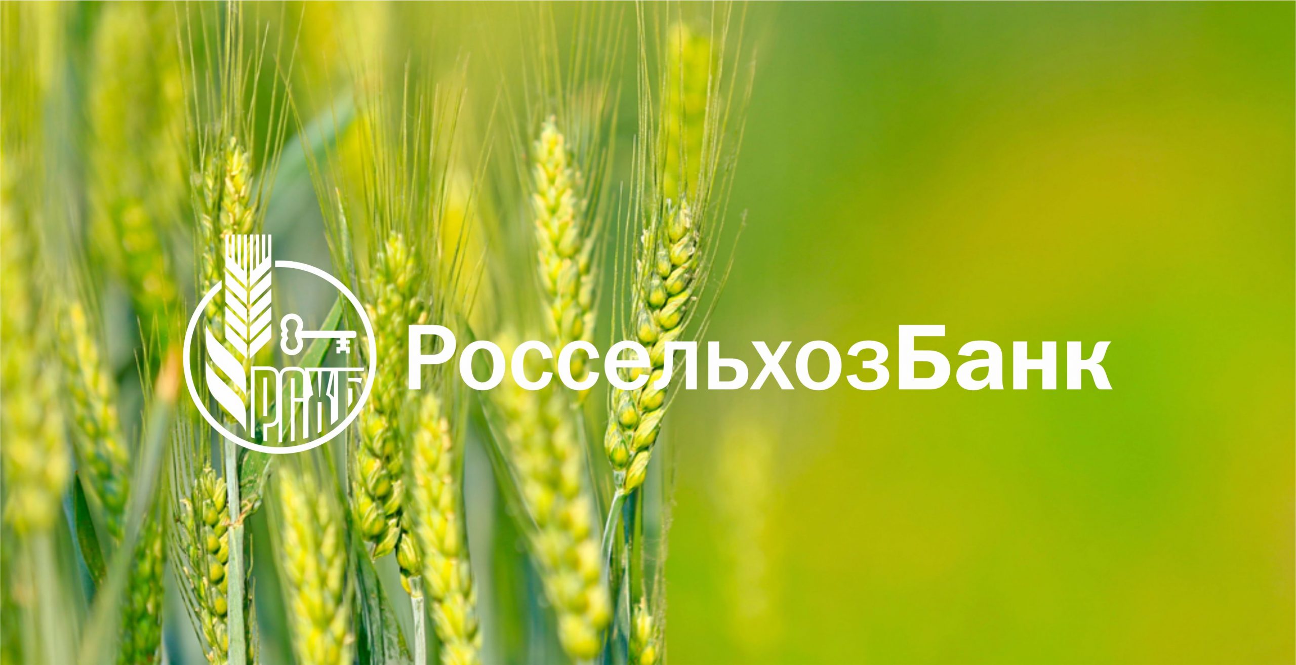 RSHB-logo — копия