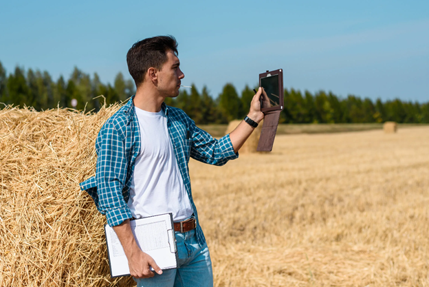 стартапы_рсхб