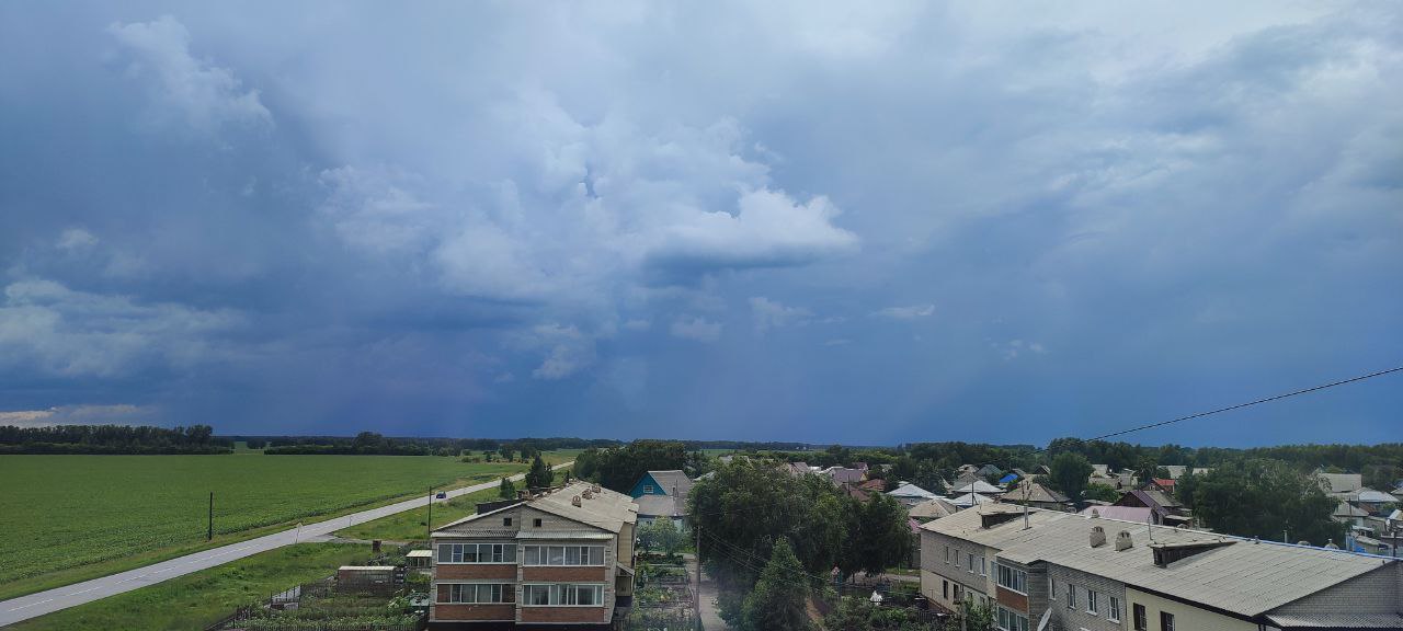 природа Камень-на-Оби