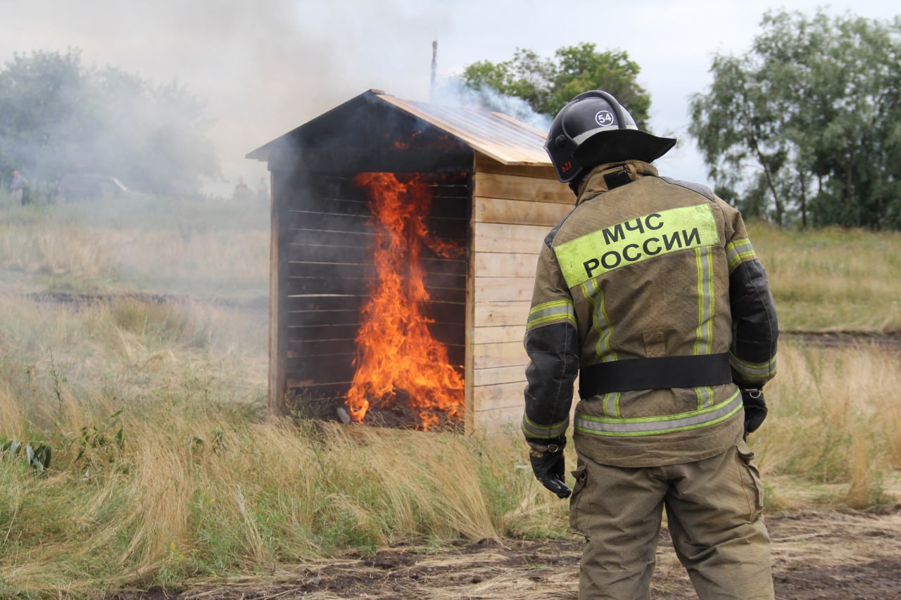 photo_5240261921536596506_y