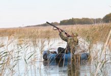 В Алтайском крае стартует летне-осенний сезон охоты