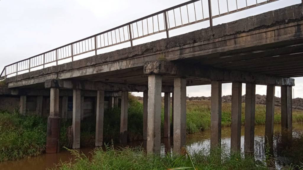 мост в Панкрушихе