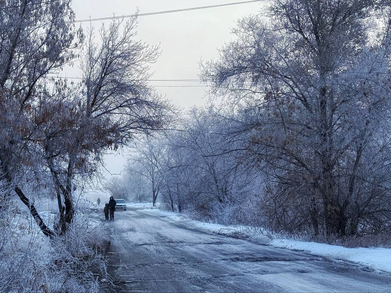 Камень-на-Оби. изморозь