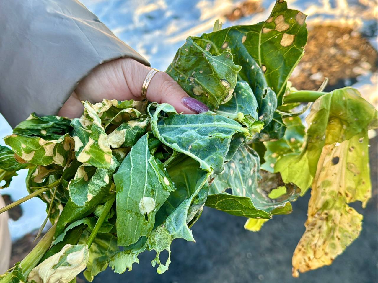 химия с самолета