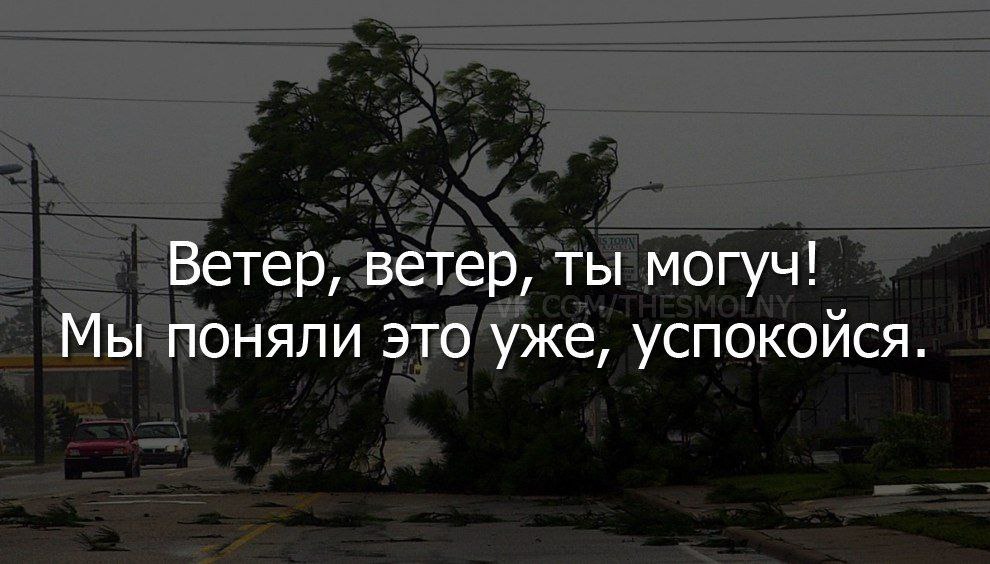 photo_5290021621626693163_y