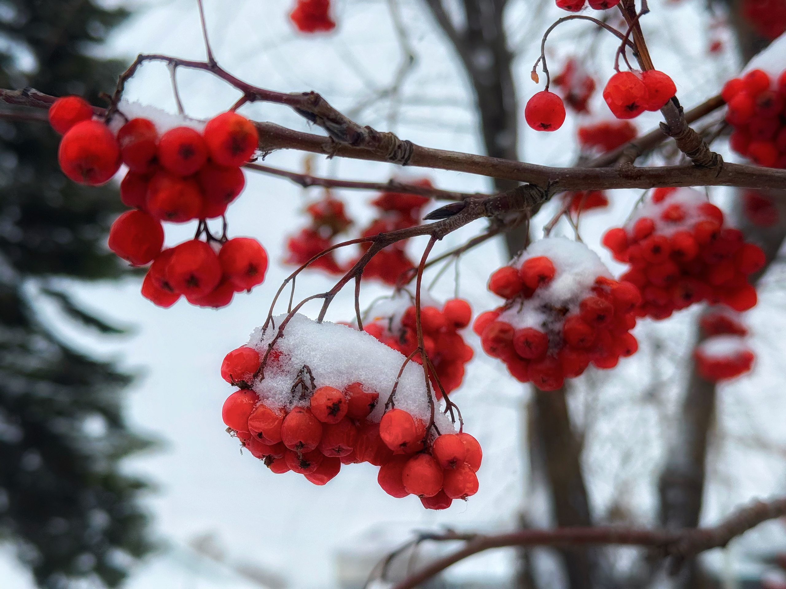 Камень-на-Оби