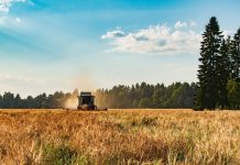 Аграрии Каменского района подводят итоги сезона