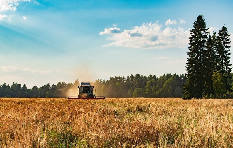 сельское хозяйство