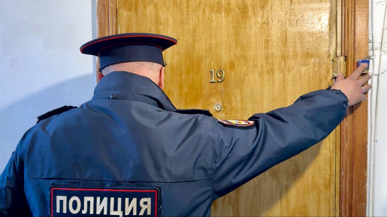 кошачий вопрос