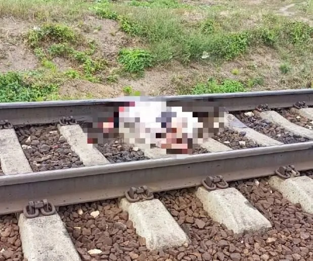 гибель под поездом