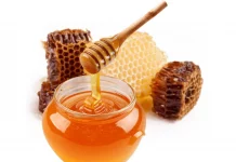 Специалисты рассказали, как выбирать мед