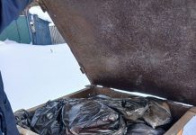 Жители Камня-на-Оби пожаловались на работу мусорного регоператора ТКО Сервис