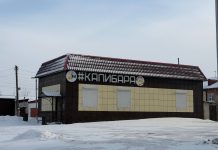 Жители Камня-на-Оби обеспокоены, что их дворы превращаются в общественные туалеты