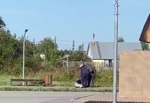 Прокуратура и полиция проводят проверку по факту нападения на ребенка в Камне-на-Оби. Видео