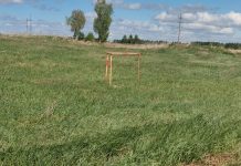 На Алтае возбуждено уголовное дело из-за строящегося в Каменском районе комплекса по переработке отходов. Вести Алтай