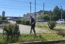 400 человек в аномальную жару вышли на субботник в Камне-на-Оби. Вести Алтай