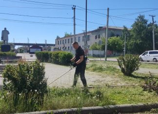 400 человек в аномальную жару вышли на субботник в Камне-на-Оби. Вести Алтай