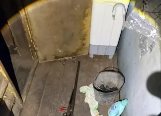 Житель Алтайского края из охотничьего ружья застрелил тещу и ранил жену