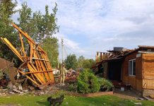 Более шести тысяч домов в Алтайском крае остаются без света из за непогоды