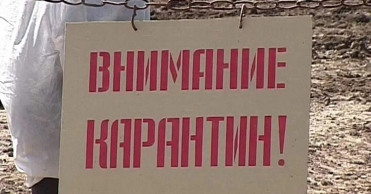 карантин
