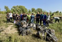 Сотрудники администрации Каменского района расчистил от мусора берега озера Рица