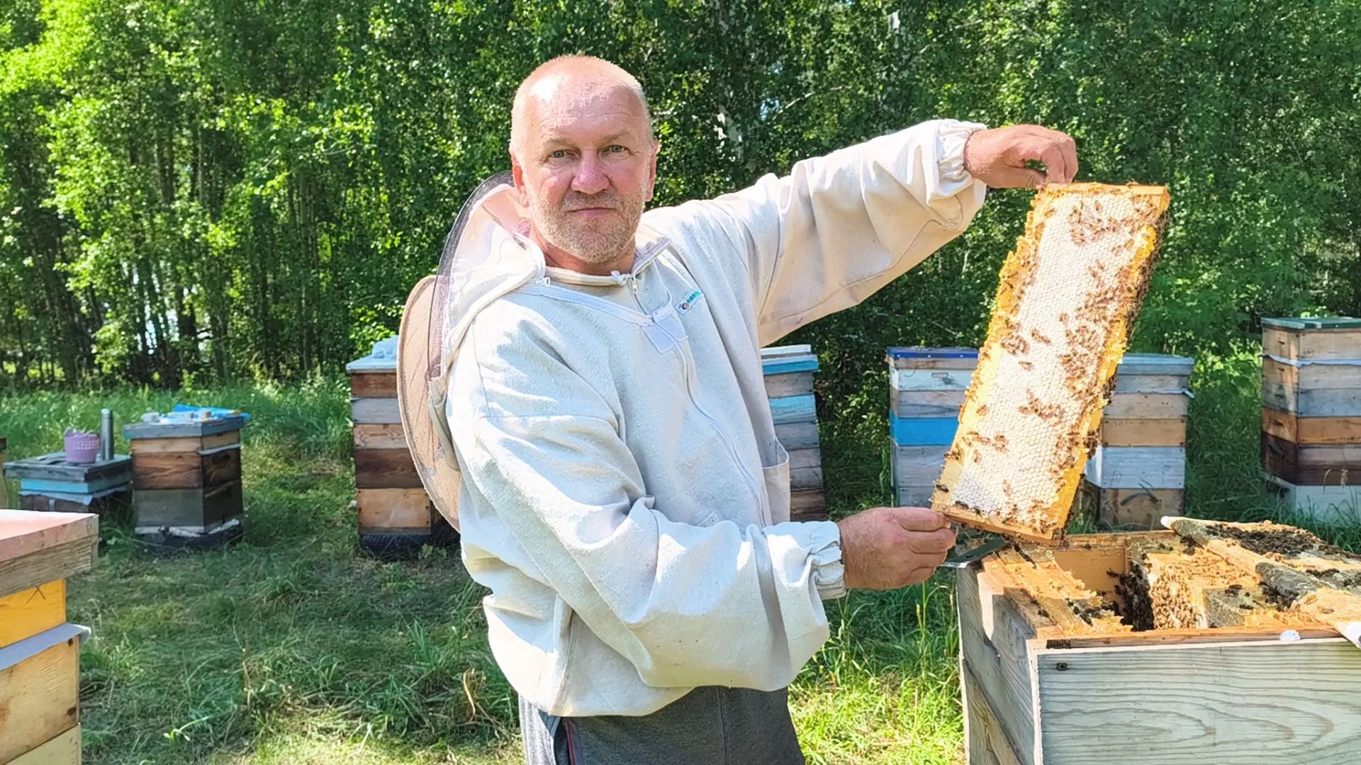 пчеловод. мед