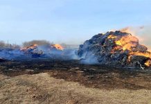 В Алтайском крае женщина устроила пожар, погубивший скот и сено у фермера
